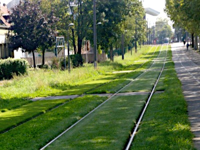 StUB auf grünen Gleisen